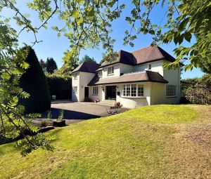 Photo 4- click for photo gallery